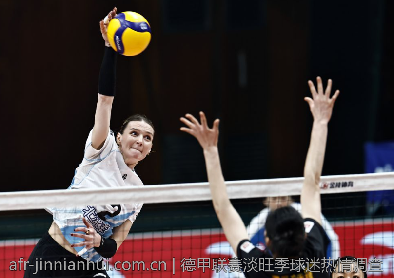 德甲联赛淡旺季球迷热情调查